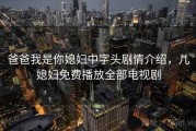 爸爸我是你媳妇中字头剧情介绍，儿媳妇免费播放全部电视剧