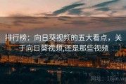 排行榜:向日葵视频的五大看点,关于向日葵视频,还是那些视频 排行榜:向日葵视频的五大看点,关于向日葵视频,还是那些视频