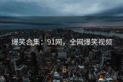爆笑合集:91网,全网爆笑视频 爆笑合集:91网,全网爆笑视频