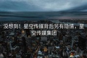 没想到!星空传媒背后另有隐情,星空传媒集团 没想到!星空传媒背后另有隐情,星空传媒集团