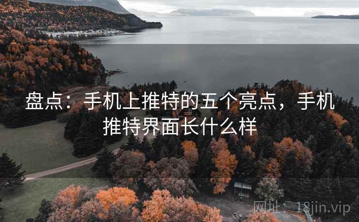 盘点:手机上推特的五个亮点,手机推特界面长什么样 盘点:手机上推特的五个亮点,手机推特界面长什么样