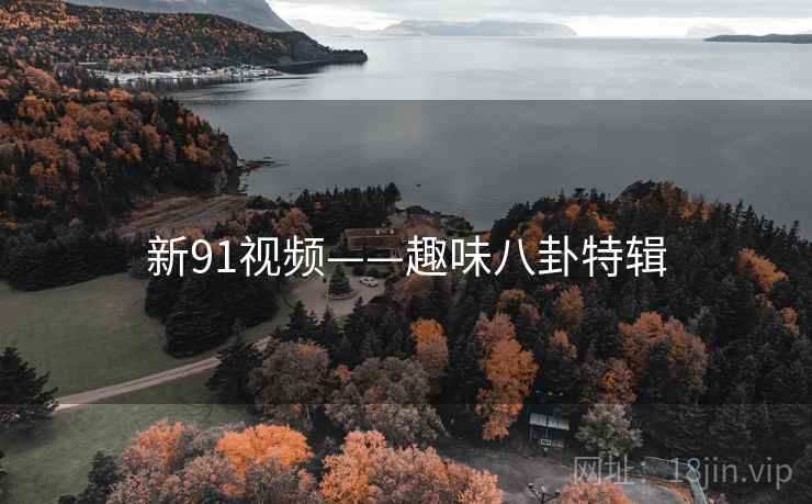 新91视频——趣味八卦特辑 新91视频——趣味八卦特辑