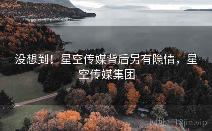 没想到!星空传媒背后另有隐情,星空传媒集团 没想到!星空传媒背后另有隐情,星空传媒集团