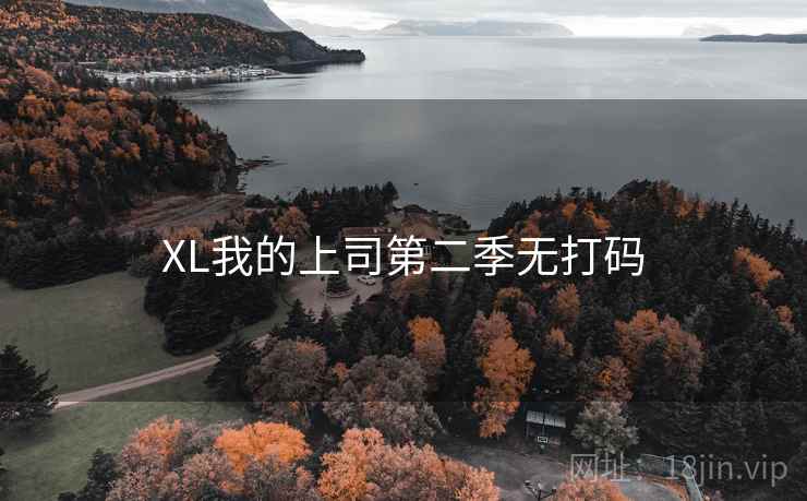 XL我的上司第二季无打码 XL我的上司第二季无打码