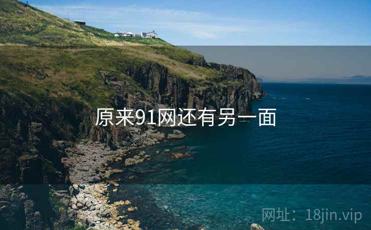 原来91网还有另一面 原来91网还有另一面